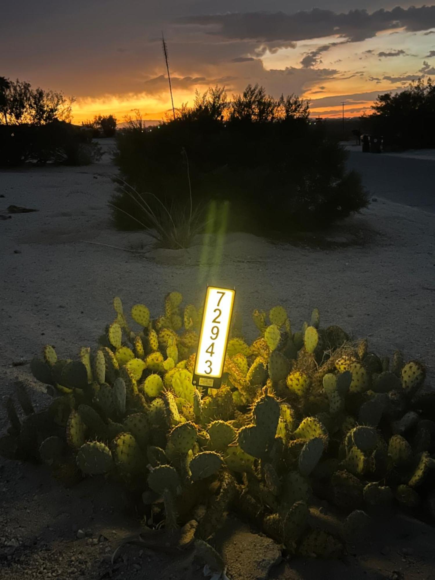 Hostel Bodhi House, Joshua Tree National Park Twentynine Palms Exteriér fotografie
